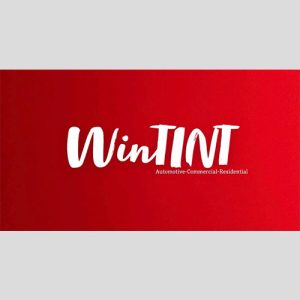 Wintint